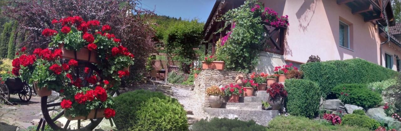 Виллы Верес Яремче-19