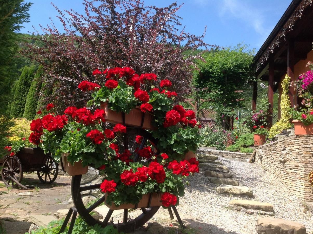 Виллы Верес Яремче-23