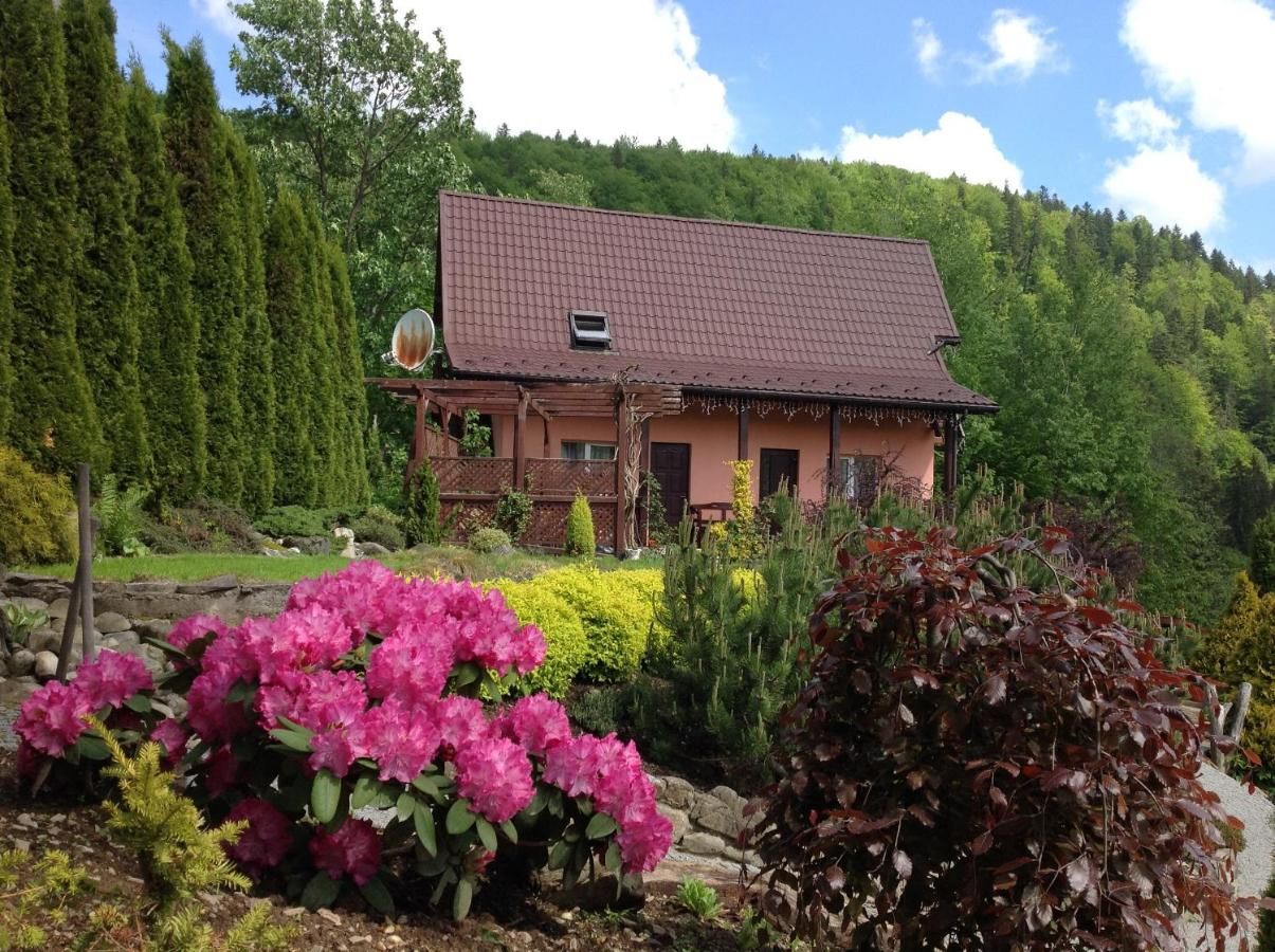 Виллы Верес Яремче-28