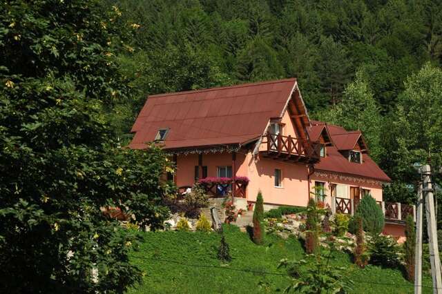 Виллы Верес Яремче-29