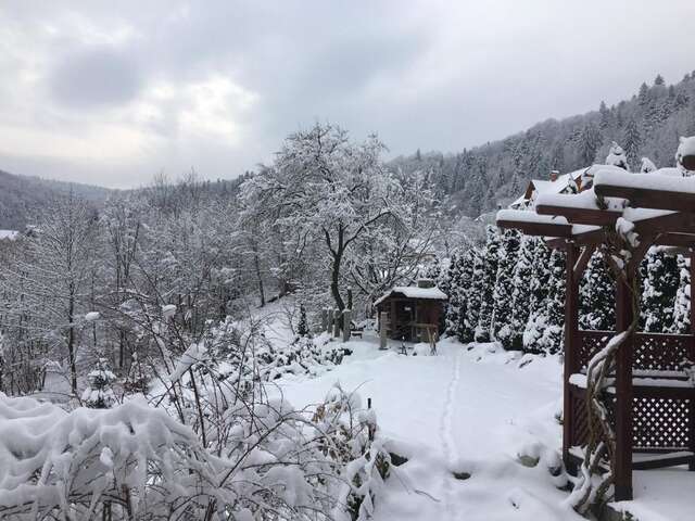 Виллы Верес Яремче-43